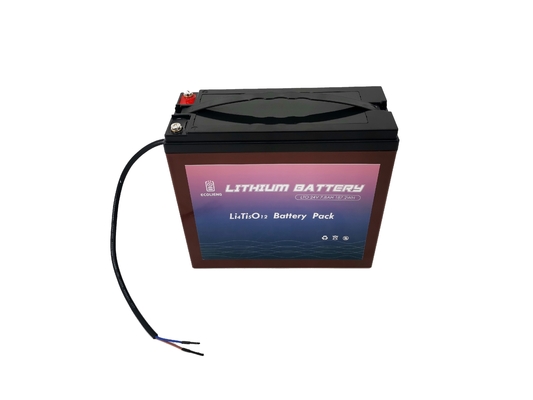 24V 7.8Ah Lithium Titanate LTO Battery Pack per tracker solare / porta elettrica