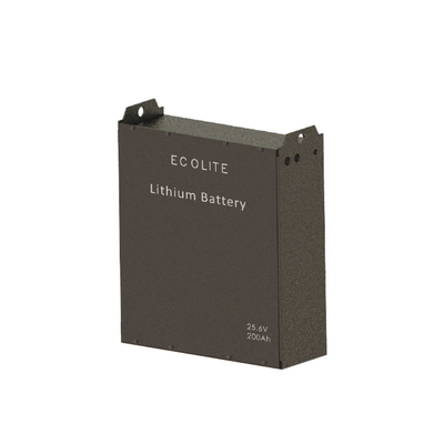 24V 48V 51.2V LiFePo4 batteria 200Ah batteria di trazione per carrelli elevatori batteria di litio industriale