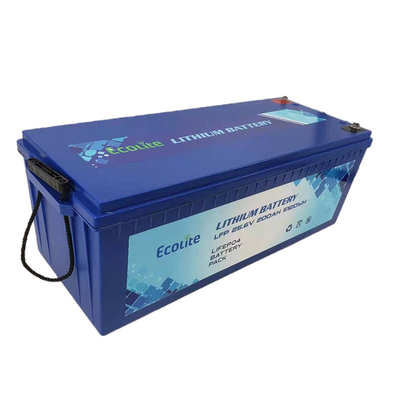 M8 Tipo di terminale Batteria al litio LiFePO4 ECOLTO-24200 Protezione della custodia IP65