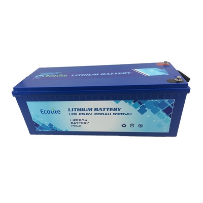 M8 Tipo di terminale Batteria al litio LiFePO4 ECOLTO-24200 Protezione della custodia IP65