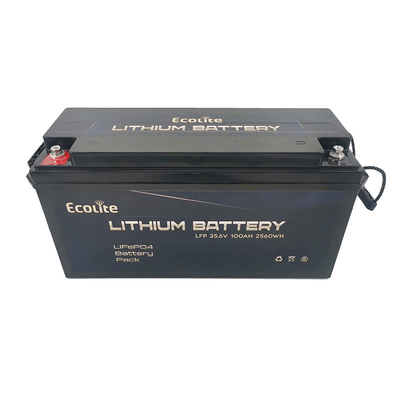 Batteria al litio PO4 a alta densità di carica veloce 25,6V 100Ah 2560Wh