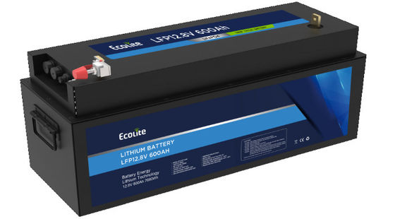 quality Batteria LiFePO4 di alta densità di litio ferro fosfato per imbarcazioni factory