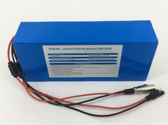Batteria Ecolite NCM Batteria ad alta densità Batteria al litio 36V 20,8Ah con BMS