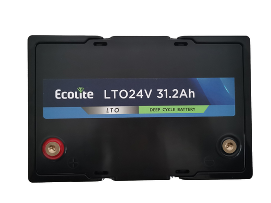 LTO ad alta energia 24V 31,2Ah batteria al litio titanato ciclo di vita 10000 per scarica a bassa temperatura