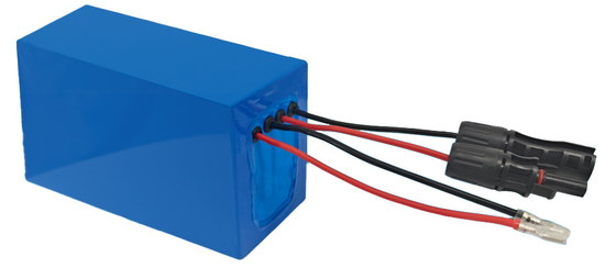 ECOLITE 24Volt Solar Tracker Batterie al litio per sistemi di energia solare