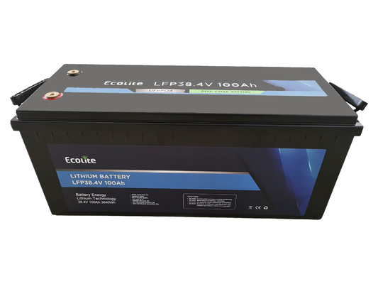 Ecolite Customization Batteria al litio LiFePO4 da 38.4V 100Ah