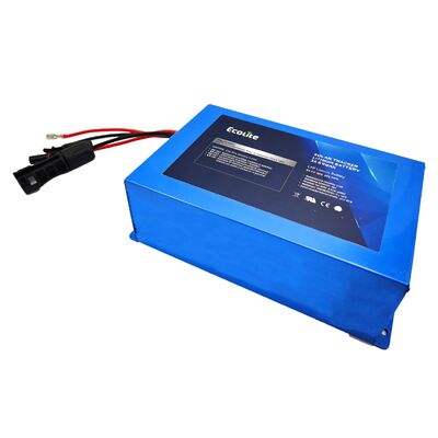 ECOLFP2409 batteria di tracciatore solare LFP di media capacità da 25,6 V a 9 Ah con MPPT integrato per un tempo di funzionamento migliore